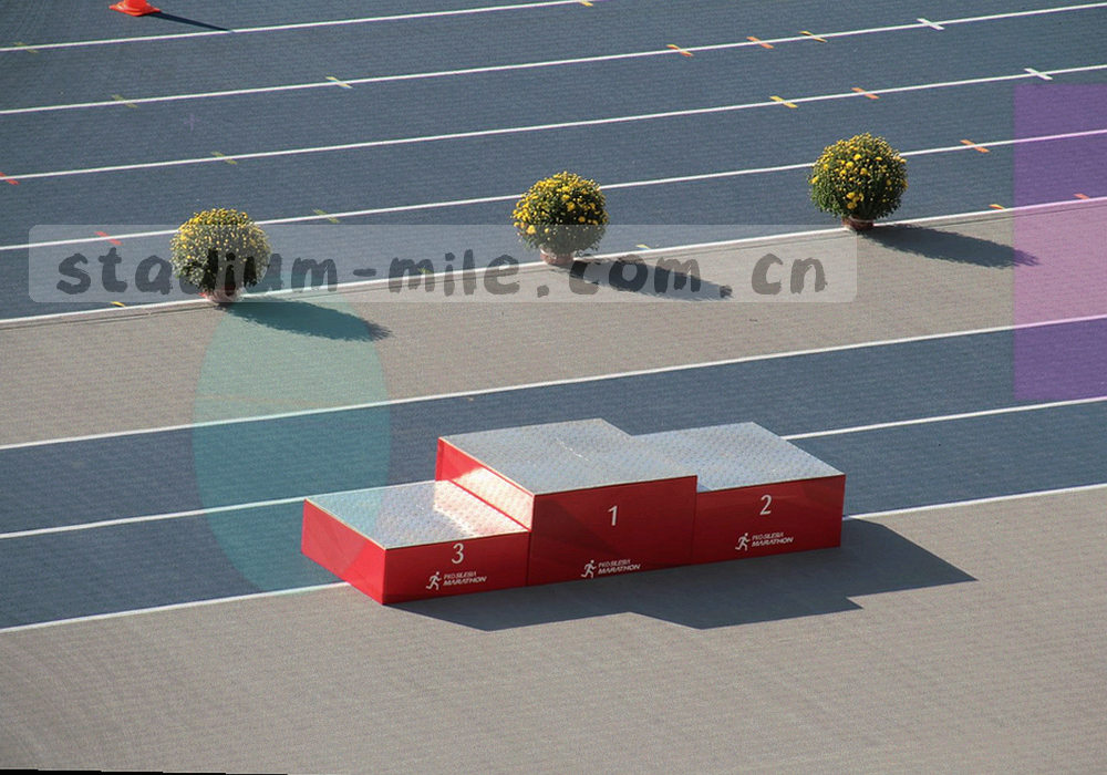 浏览器第一栏固定入口按钮与左侧联赛轨道的标注示意图